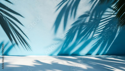 Abstract Blue Elegance: Palm Shadow on Cement Wall