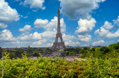 View of Eiffel Tower from Jardins du Trocadero in Paris  France. Eiffel Tower is one of the most iconic landmarks of Paris. Cityscape of Paris