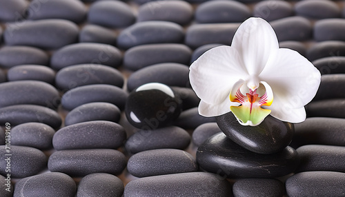 Freshness and harmony in nature fragility and beauty generated by AI