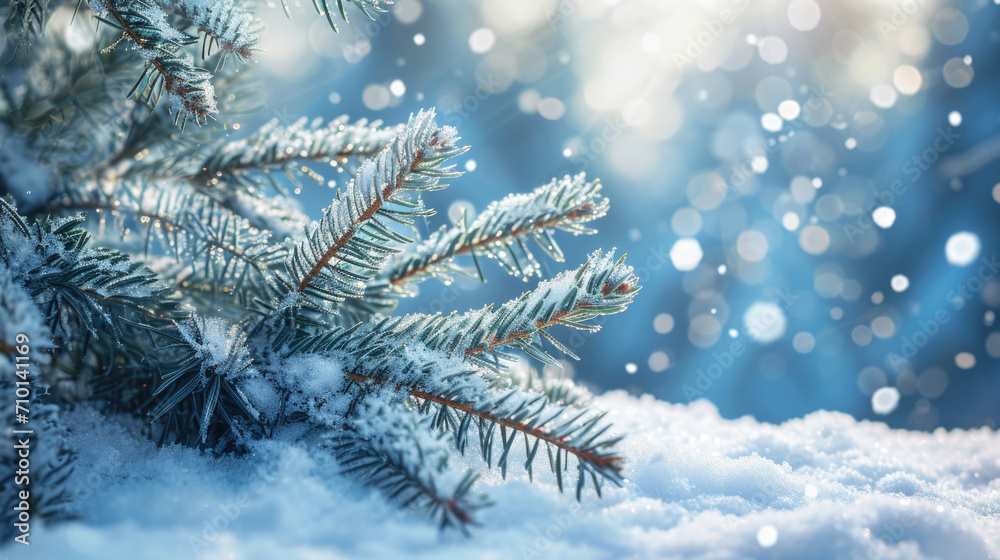Detailed view of pine tree covered in snow. Perfect for winter-themed designs and holiday greetings. Detailed view of pine tree covered in snow. Perfect for winter-themed designs and holiday greetings.