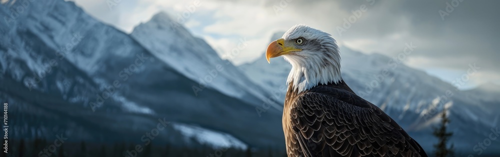 Obraz premium An eagle in a front of the mountains