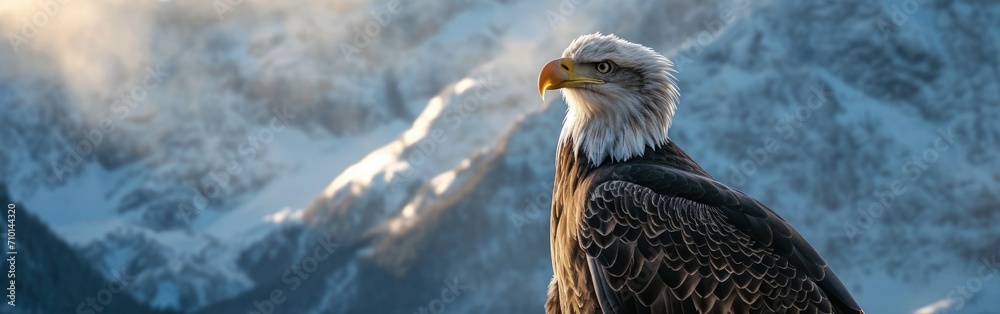 Fototapeta premium An eagle in a front of the mountains