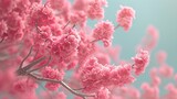 Tree branches covered with beautiful pink flowers