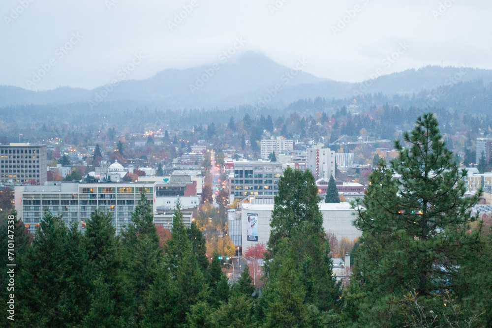 Eugene, Oregon from Skinner Butte