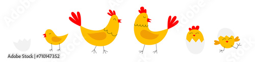 Yellow chicken with little chicks, Easter vector illustration