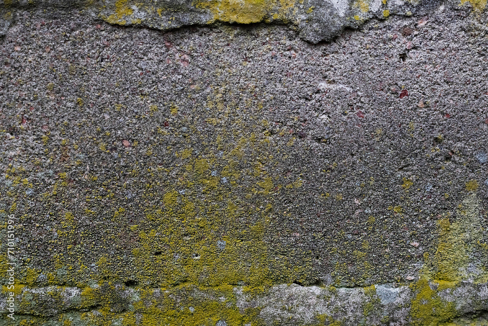 A blurry image of an concrete wall covered with lichen.