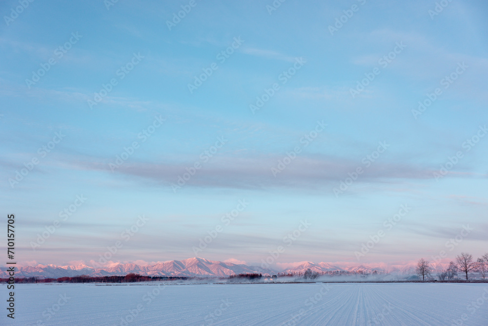 Obraz premium 雪原と青空