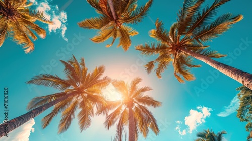 Tropical background, featuring sun-kissed landscapes, palm trees, and clear skies, summer season.