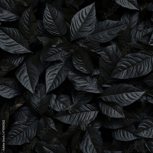Textures of abstract black leaves for tropical leaf background. Flat lay  dark nature concept  tropical leaf