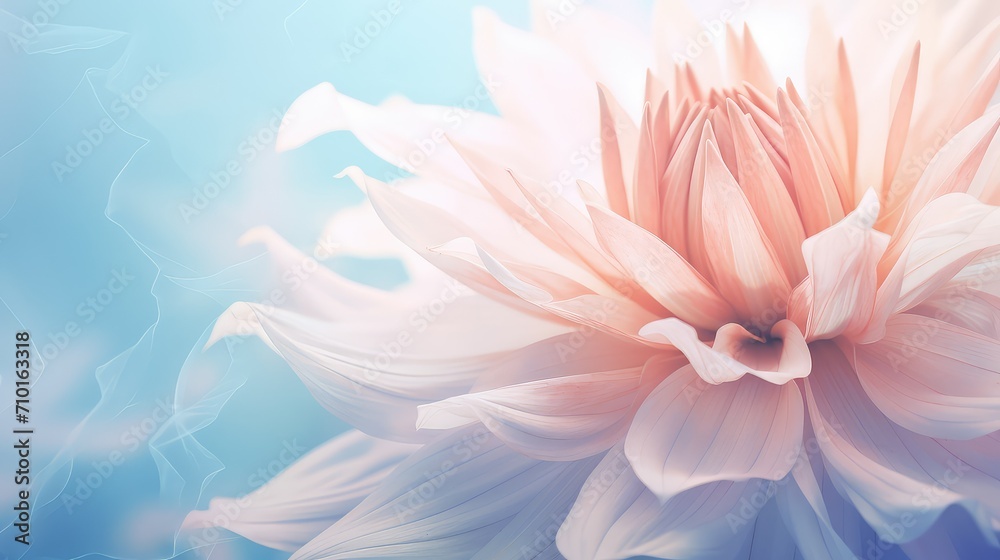 Fototapeta premium bouquet floral flower background illustration bloom petal, botanical spring, summer vibrant bouquet floral flower background