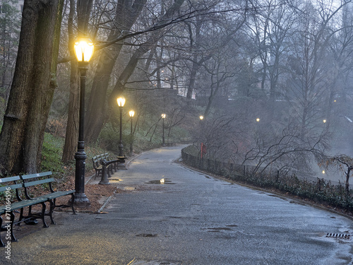 Central Park in winter   Foggy Morning