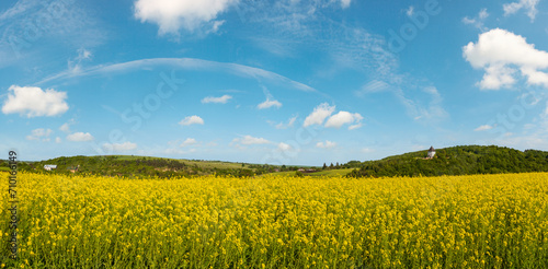 Spring rapeseed yellow blooming fields view, blue sky with clouds in sunlight panorama. Pyatnychany tower (defense structure, 15th century) on far hill slope.
