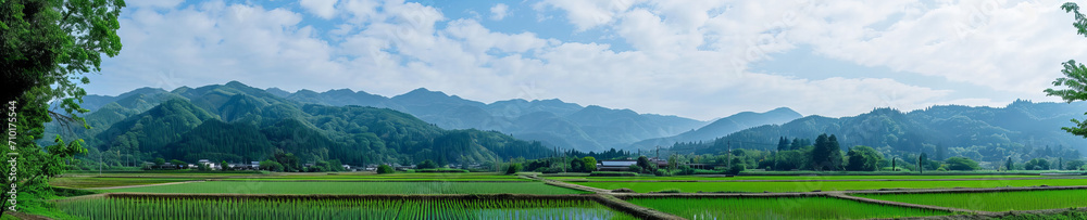 Japanese countryside landscape with green fields and mountains