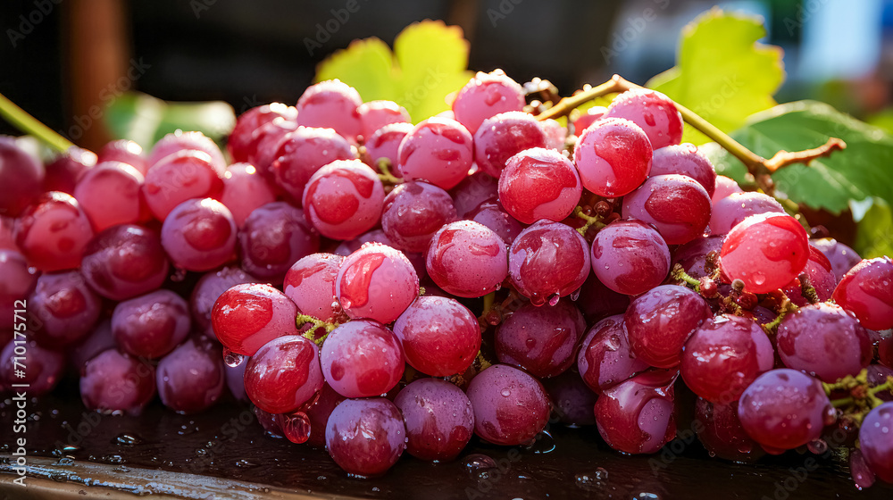Bunch of red grapes on a wooden table in a vineyard Bunch of red grapes on a wooden table in a vineyard