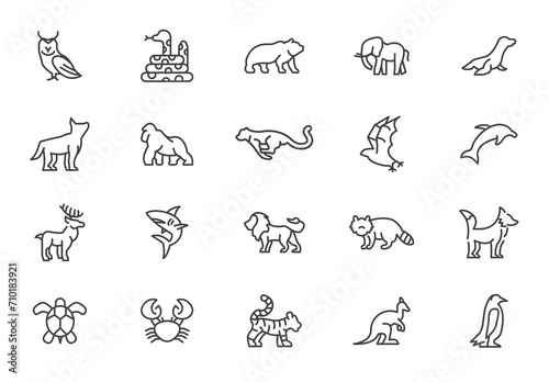 Wild animal line icons minimal style. Wildlife animals crocodile giraffe elephant gorilla raccoon vector line icon collection.