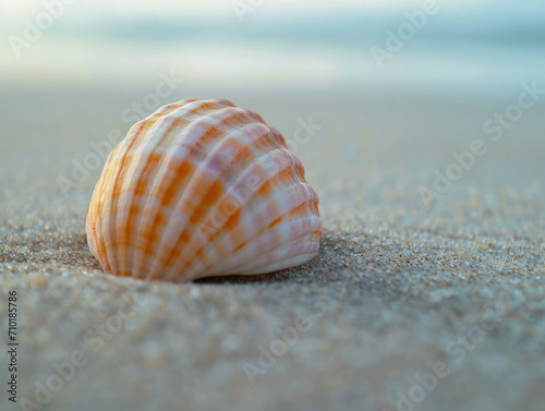 Minimalist photo of a seashell on a sandy surface. © ImageHeaven