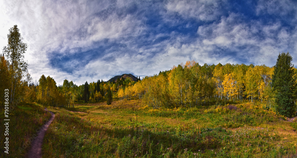 Fototapeta premium Timpanogos back Willow Hollow Ridge, Pine Hollow Trail hiking trail view Wasatch Rocky Mountains, Utah.