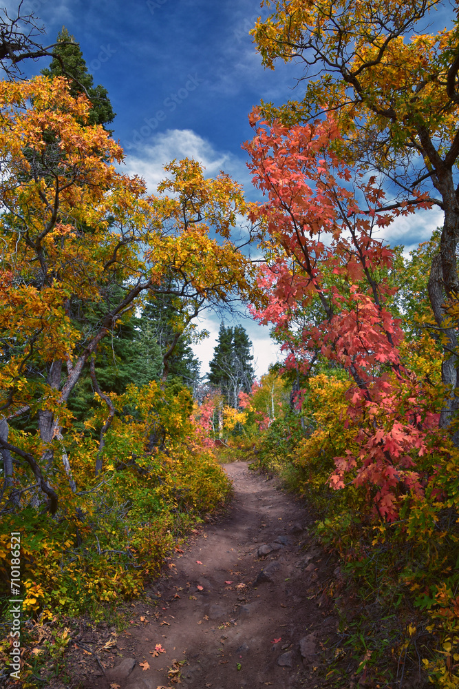 Timpanogos back Willow Hollow Ridge, Pine Hollow Trail hiking trail view Wasatch Rocky Mountains, Utah. Timpanogos back Willow Hollow Ridge, Pine Hollow Trail hiking trail view Wasatch Rocky Mountains, Utah.