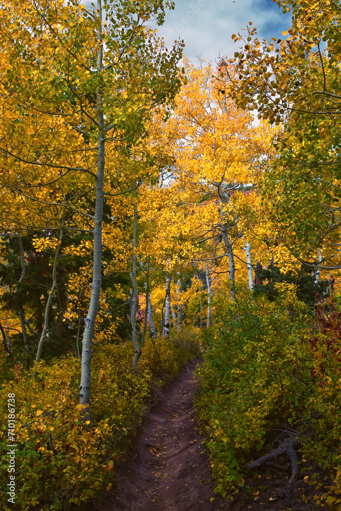 Naklejka premium Timpanogos back Willow Hollow Ridge, Pine Hollow Trail hiking trail view Wasatch Rocky Mountains, Utah.