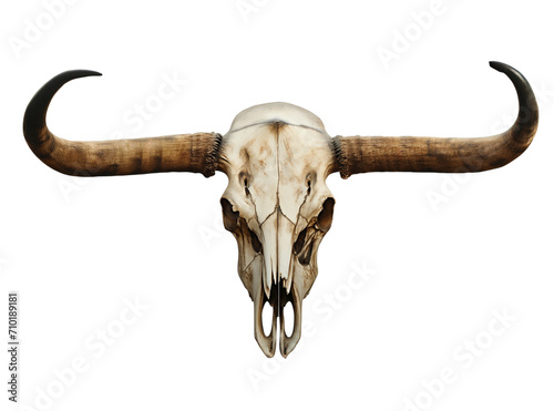 Bull skull isolated on white. Longhorn Cow Skull - Design Elements in PNG Clipart, Tattoo Art. 