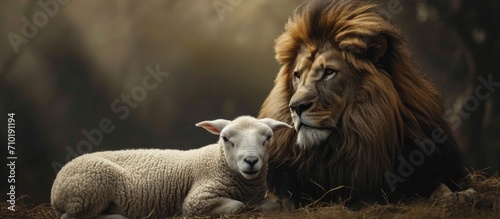 Messiah depicted as both gentle lamb and fierce lion. photo