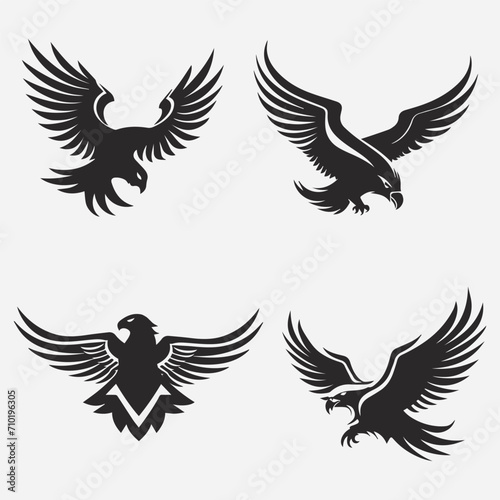 Eagle bird vector silhouette  illustration  