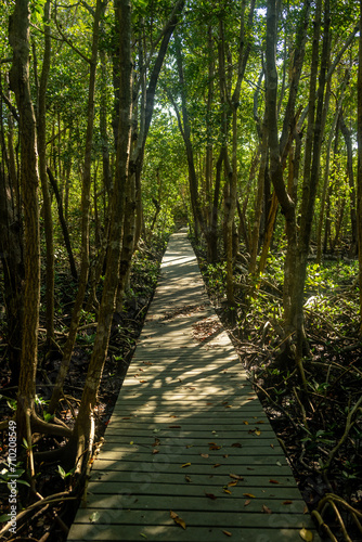 Shadows Cover Straight Board Walk photo