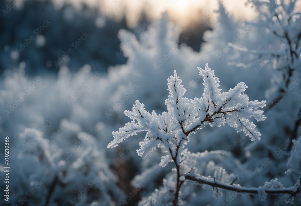 Beautiful background image of hoarfrost in nature close up