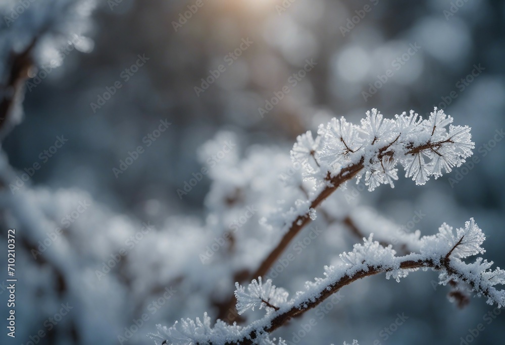 Beautiful background image of hoarfrost in nature close up