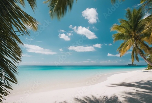 Beautiful beach with white sand shadows from leaves of palm trees turquoise ocean water and blue sky