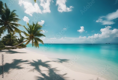 Beautiful beach with white sand shadows from leaves of palm trees turquoise ocean water and blue sky