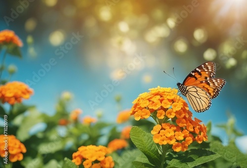 Bright colorful summer spring flower border Natural landscape with many orange lantana flowers and f © ArtisticLens