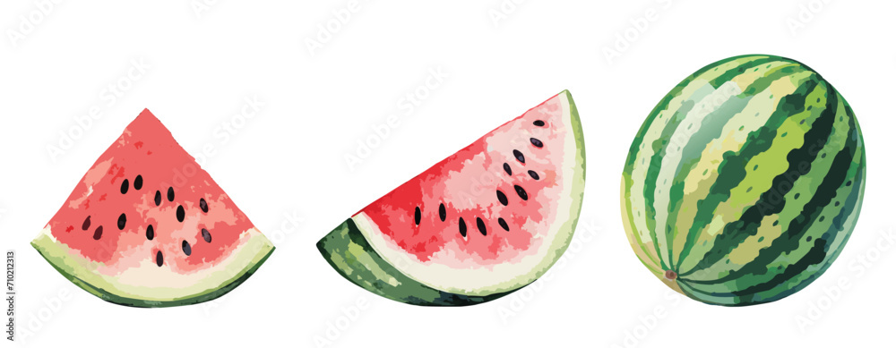 Watercolour painting of watermelon