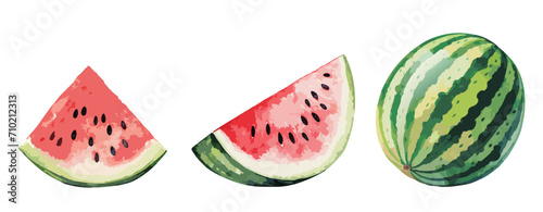 Watercolour painting of watermelon