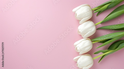 A line of white tulips on a pink background, creating a minimalist floral display