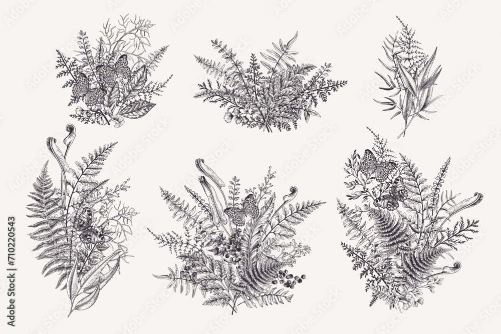 Set with forest bouquets. Butterflies, leaves, and berries. Vintage botanical compositions. Vector. Black and white. - obrazy, fototapety, plakaty 