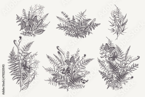 Set with forest bouquets. Butterflies, leaves, and berries. Vintage botanical compositions. Vector. Black and white.
