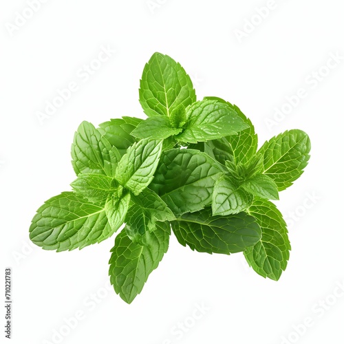 Peppermint Isolated on White Background.Refreshing Aromatic Herb