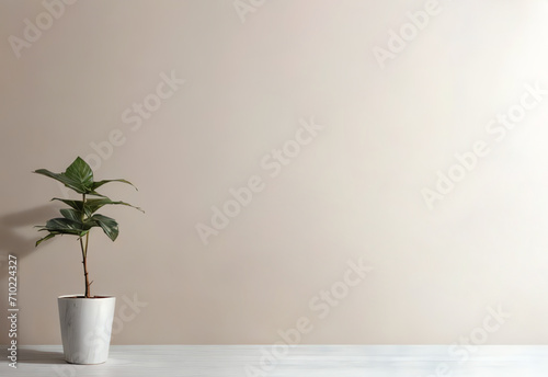background with copy space on empty interior wall and small plant ai generated