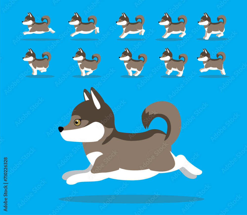 Animal Animation Sequence Dog Czech Wolfdog Cartoon Vector