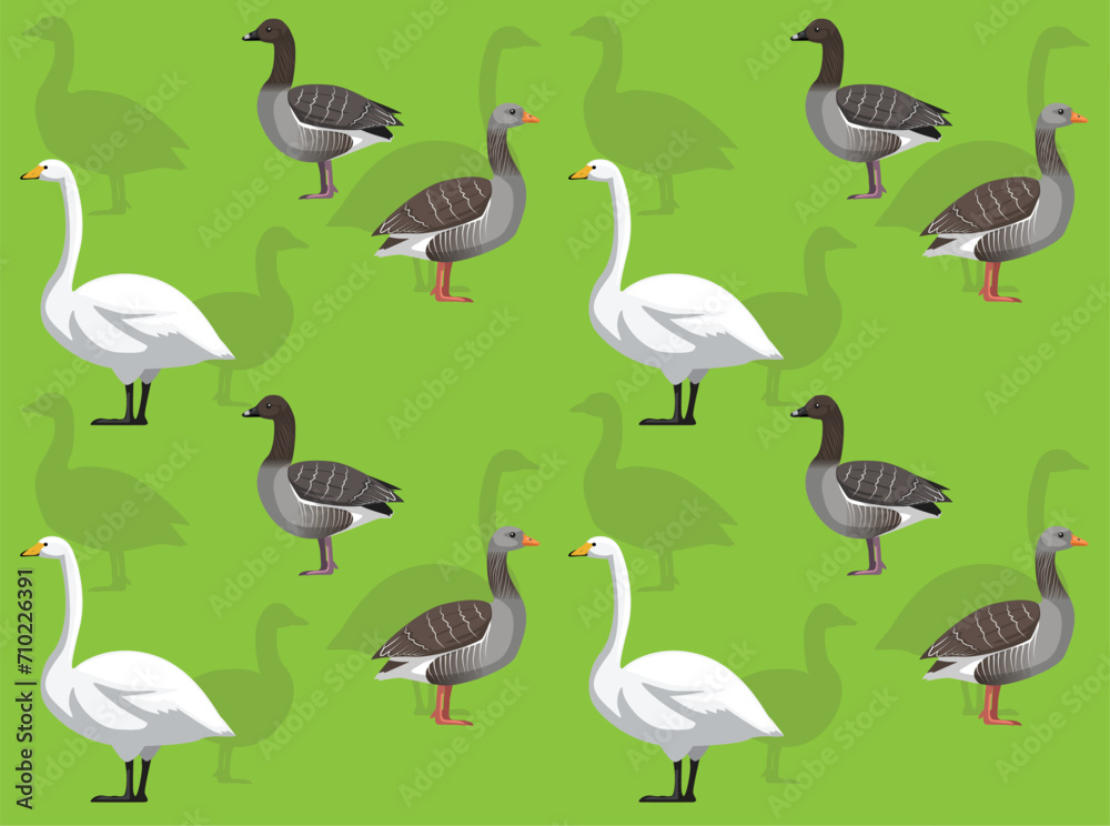 Obraz premium Bird Whooper Swan Graylag Goose Cute Seamless Wallpaper Background