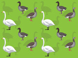 Bird Whooper Swan Graylag Goose Cute Seamless Wallpaper Background
