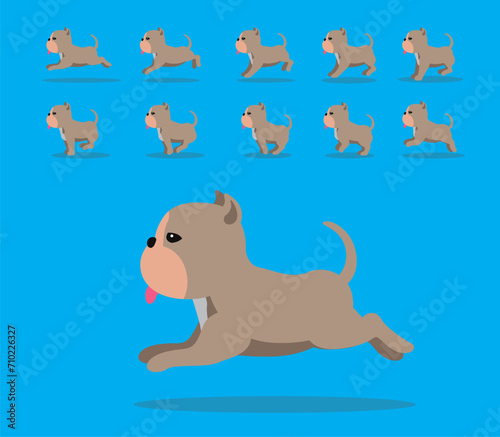 Animal Animation Sequence Dog American Bully Cartoon Vector