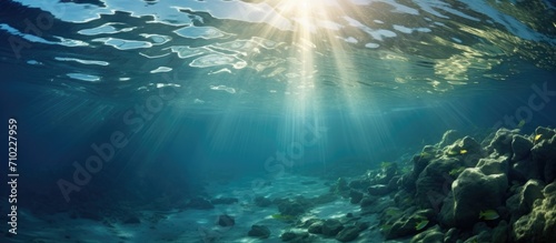 Underwater photo of a sea landscape