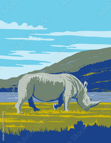 Art Deco or WPA poster of a white rhinoceros, square-lipped rhinoceros or Ceratotherium simum in Lake Nakuru National Park in Kenya, Africa done in works project administration style. 