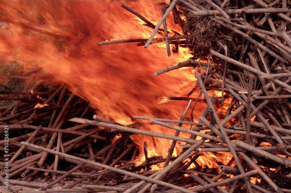 burning wood in the forest. burning wood in the forest.