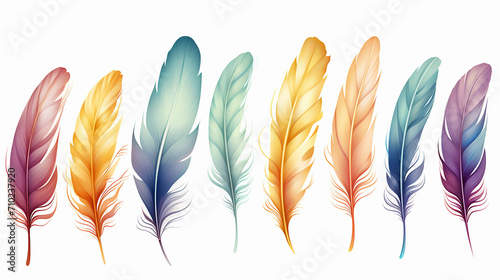 colorful feathers illustration on white isolated background