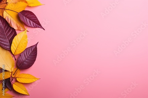 Autumn leaves in various colors on a pink backdrop with free space nearby