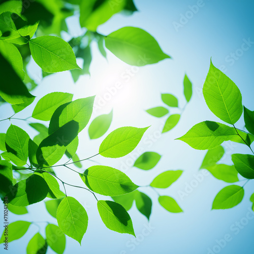Fresh green leaves on blurred nature background