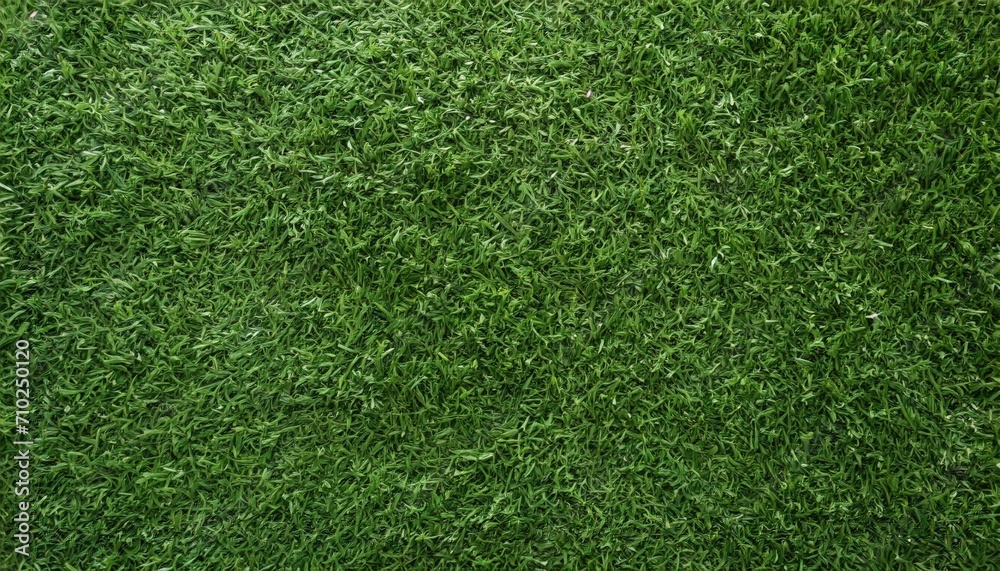 Obraz premium Green grass texture wallpaper.
